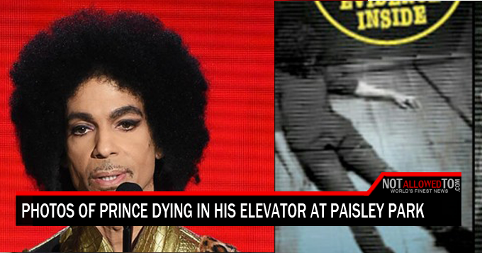 prince dead